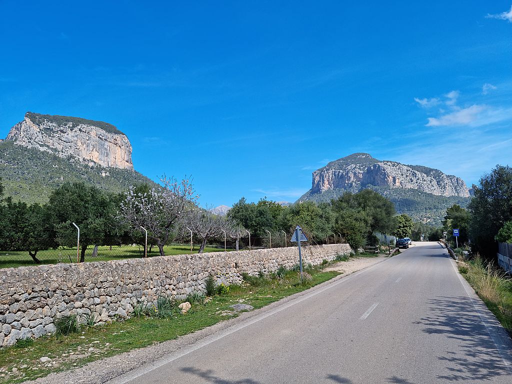 Mallorca4.jpg